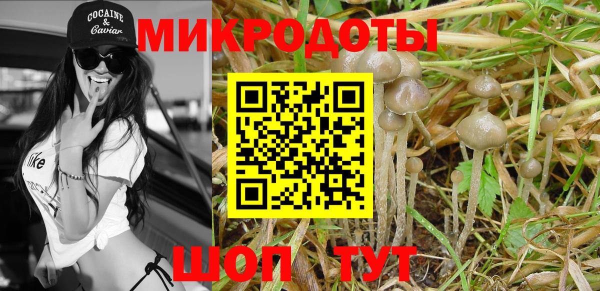 Галлюциногенные грибы мухоморы  Вход с VPN  дарнет шоп  Псилоцибиновые грибы GOLDEN TEACHER  Королёв 