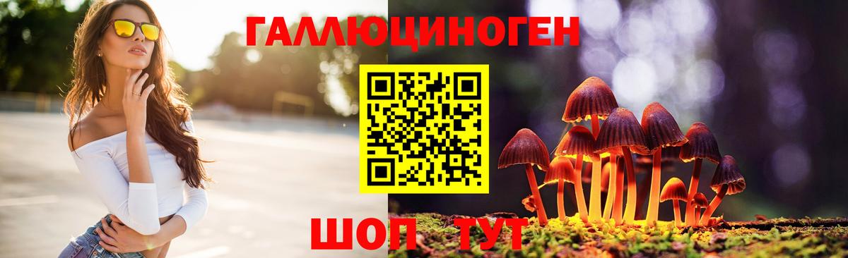 Галлюциногенные грибы Psilocybine cubensis Королёв